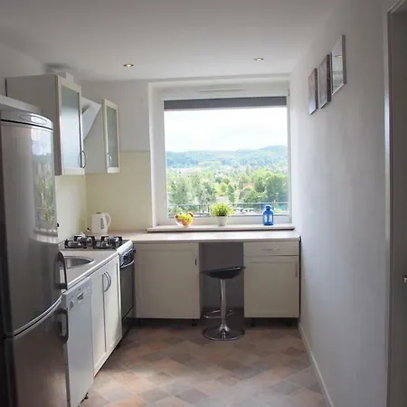公寓 Apartament Modern 索波特